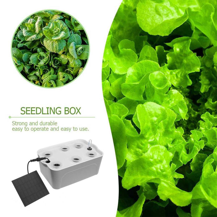Solar-powered Hydroponic Garden System for Spinach, Lettuce, and Kale